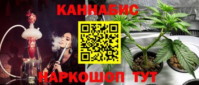 гашик Нальчик