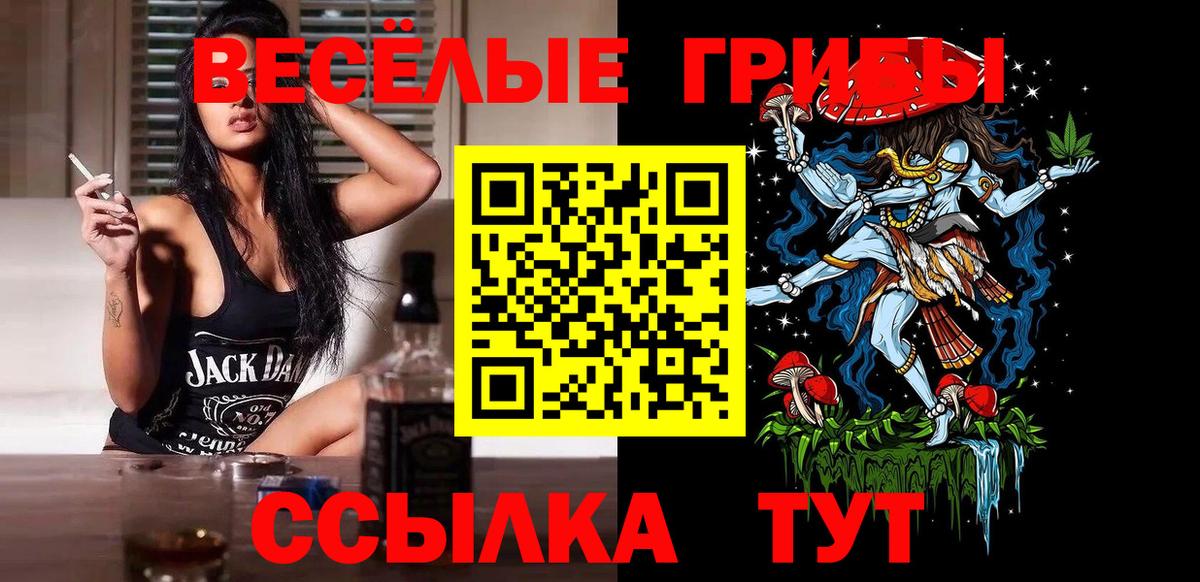 Урус-Мартан  Псилоцибиновые грибы GOLDEN TEACHER  как найти   Вход с VPN 